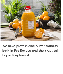 Professional 5 L